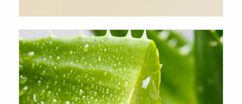 ؐ��ޱԊ�������R����Ч�ޏ�(f��)��Ĥ