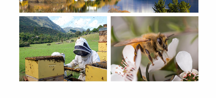 ؐ��ޱԊ�������R��������˪