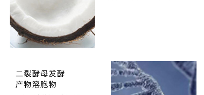 �n�����n�����