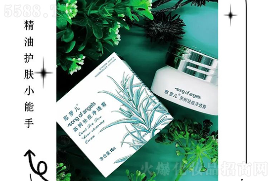 歌蘿兒茶樹(shù)祛痘凈透霜 歌蘿兒茶樹(shù)祛痘凈透霜