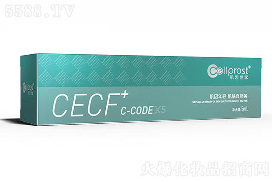 ��������CECF+C-CODE