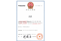 ��Ľ�̘�(bi��o)ע���C