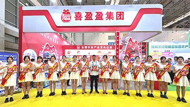 ���ƏV���ݴ�������