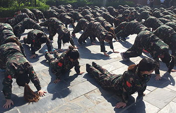 �����������(n��i)��(qi��ng)���|(zh��)������(y��u)�������