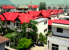 ������_(k��i)������(d��n)�Įa(ch��n)ƷЧ����ô�k��